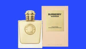 profumo simile a burberry|6 Perfumes Similar To Burberry Goddess [Dupes To Try].